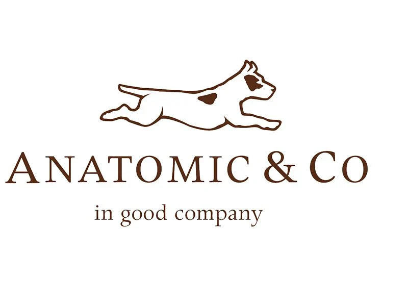 Anatomic & Co