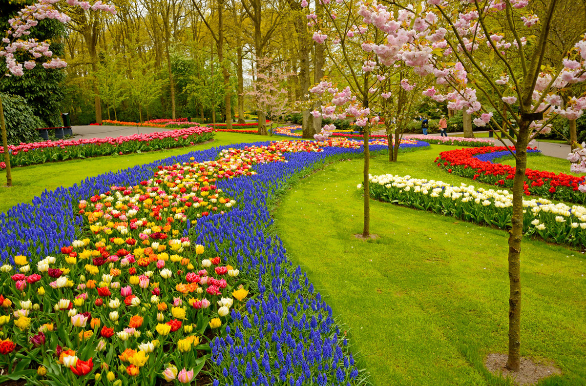 Household, Garden & DIY