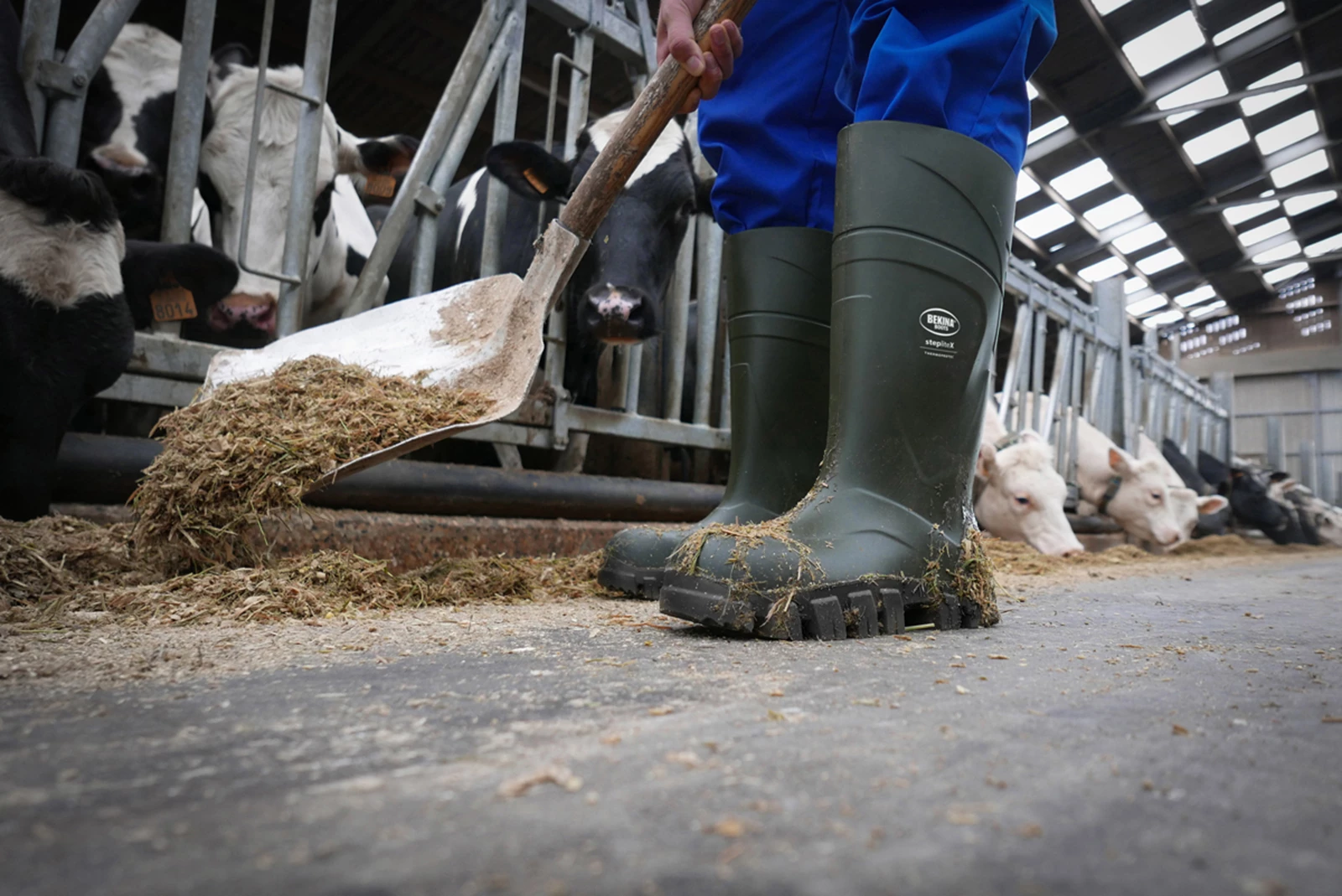 Bekina Wellingtons