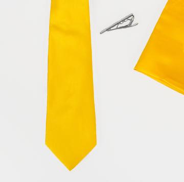HOUSE OF CAVANI TIE SETS (VARIOUS COLOURS)