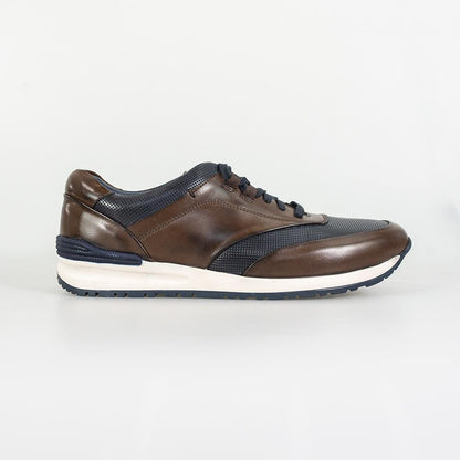 Cavani Portland Shoes in Navy/Brown