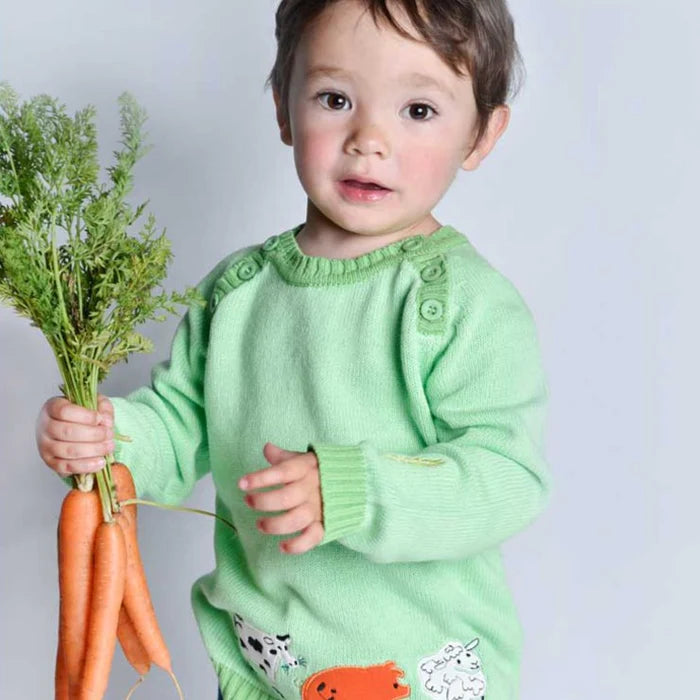 Powell Craft Farmyard Knitted Jumper