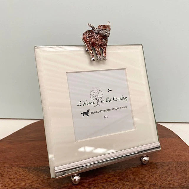 Highland Cow - Square Frame - 3