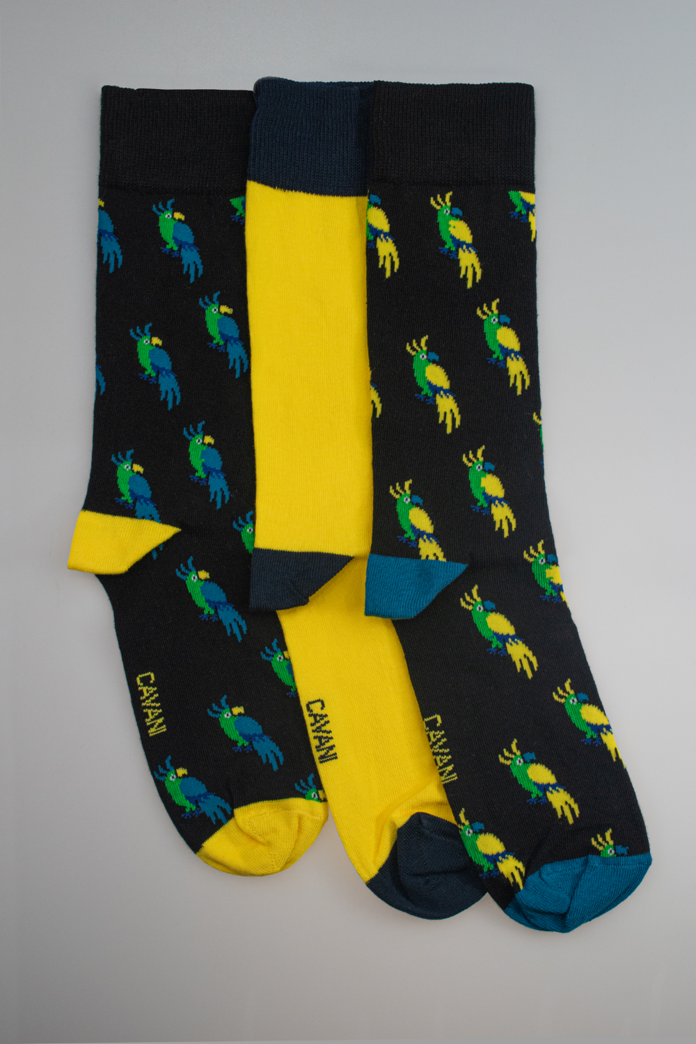 House of Cavani Socks 3 Pack
