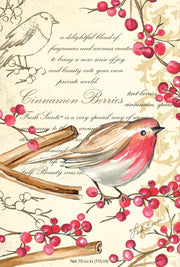 Willowbrook Cinnamon Berries Large Scented Sachet