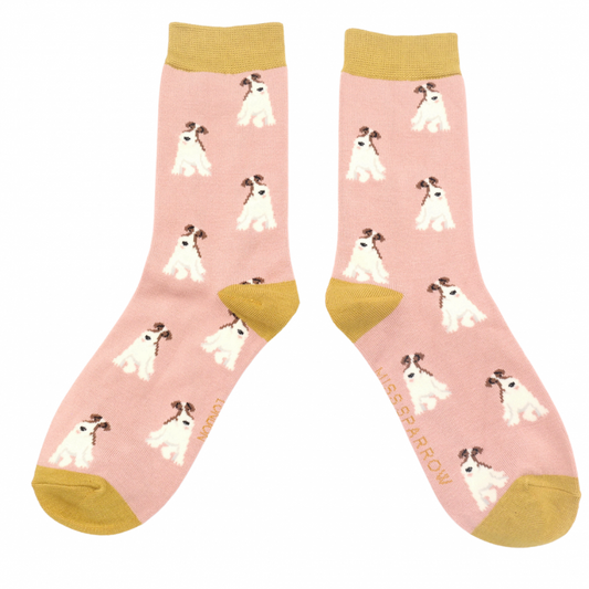 Miss Sparrow  Fox Terriers Dusky Pink