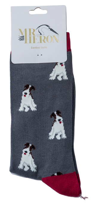 Mr Heron  Fox Terrier Grey