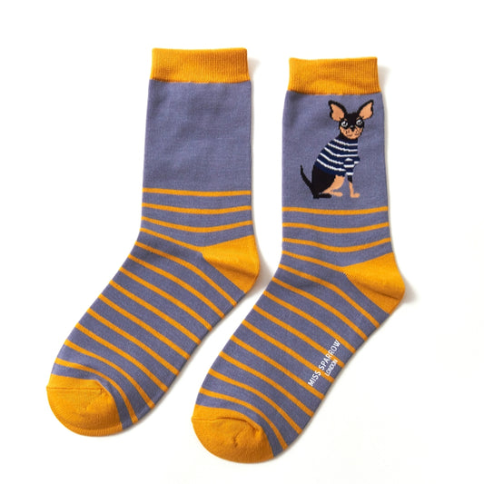 Miss Sparrow  Chihuahua Stripes Blue