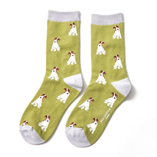Miss Sparrow  Fox Terrier Socks Olive