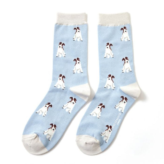 Miss Sparrow  Fox Terriers Socks Powder Blue