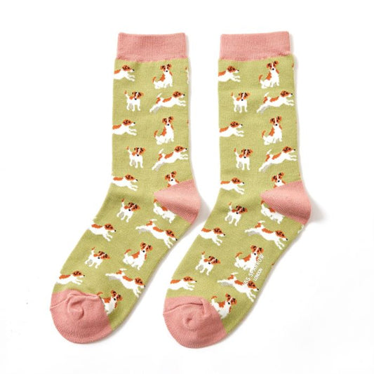 Miss Sparrow  Jack Russells Socks Olive
