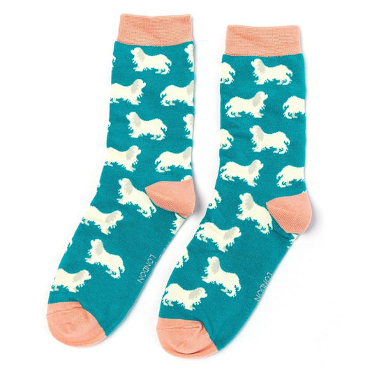 Miss Sparrow  Spaniels Socks Teal