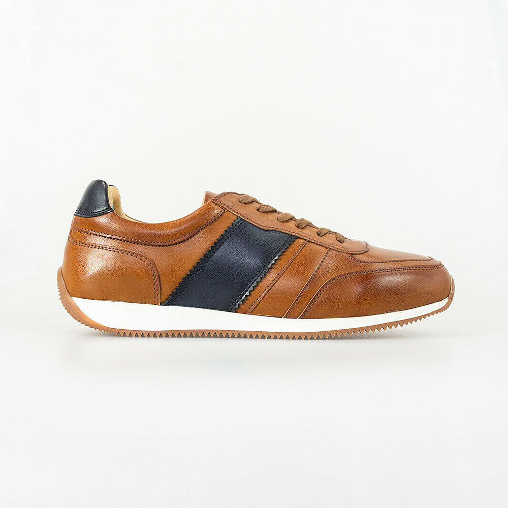 HOUSE OF CAVANI FRASER TRAINERS