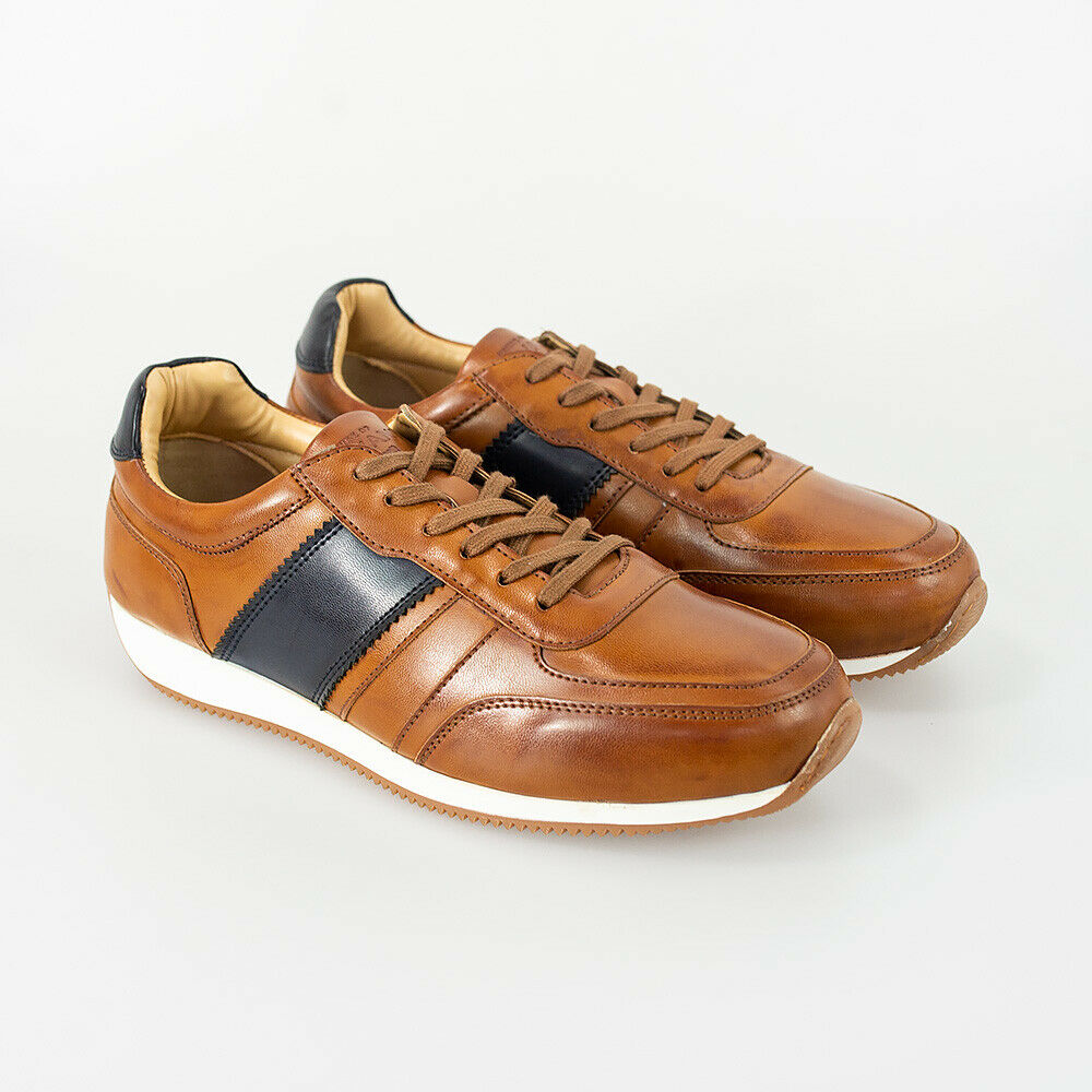 HOUSE OF CAVANI FRASER TRAINERS