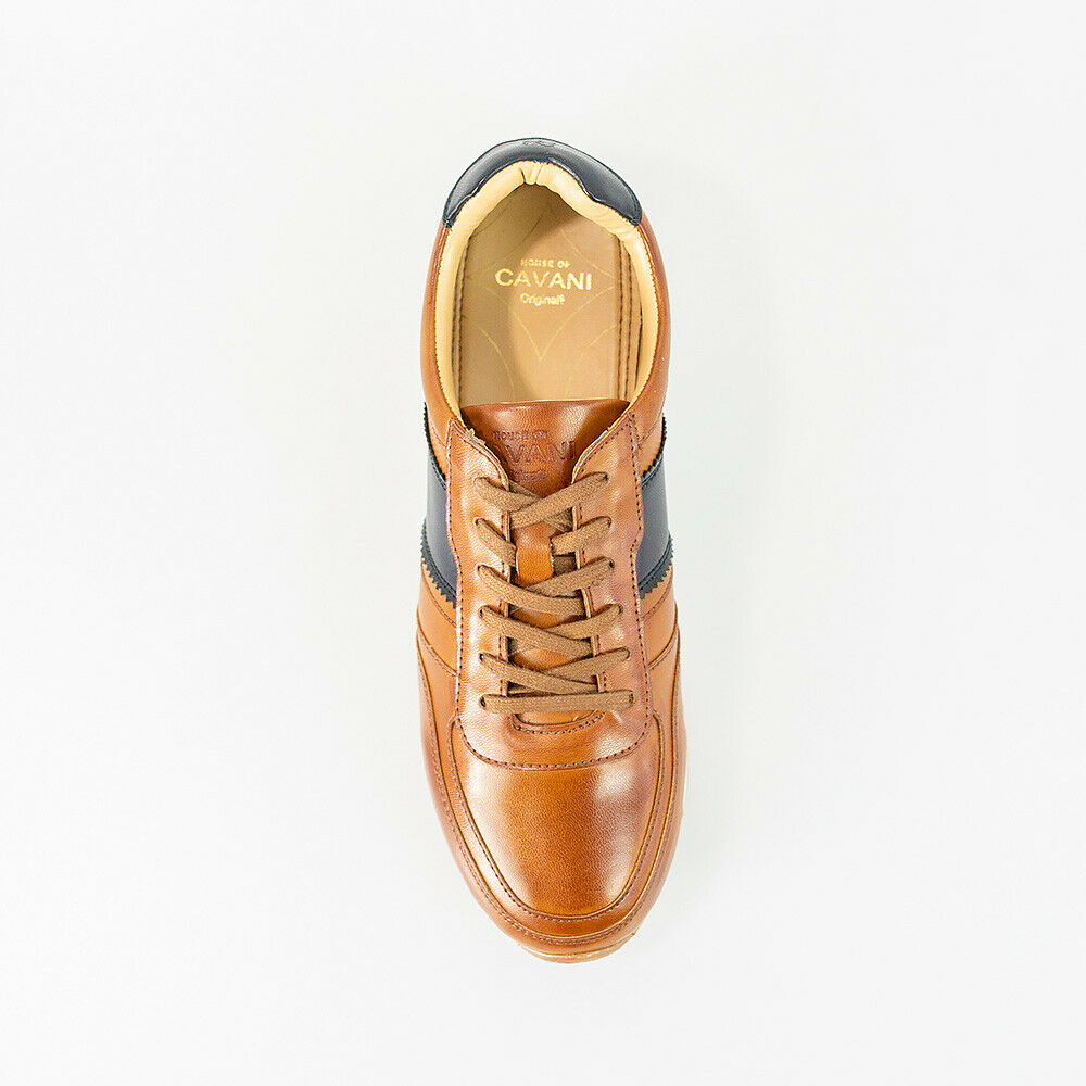 HOUSE OF CAVANI FRASER TRAINERS