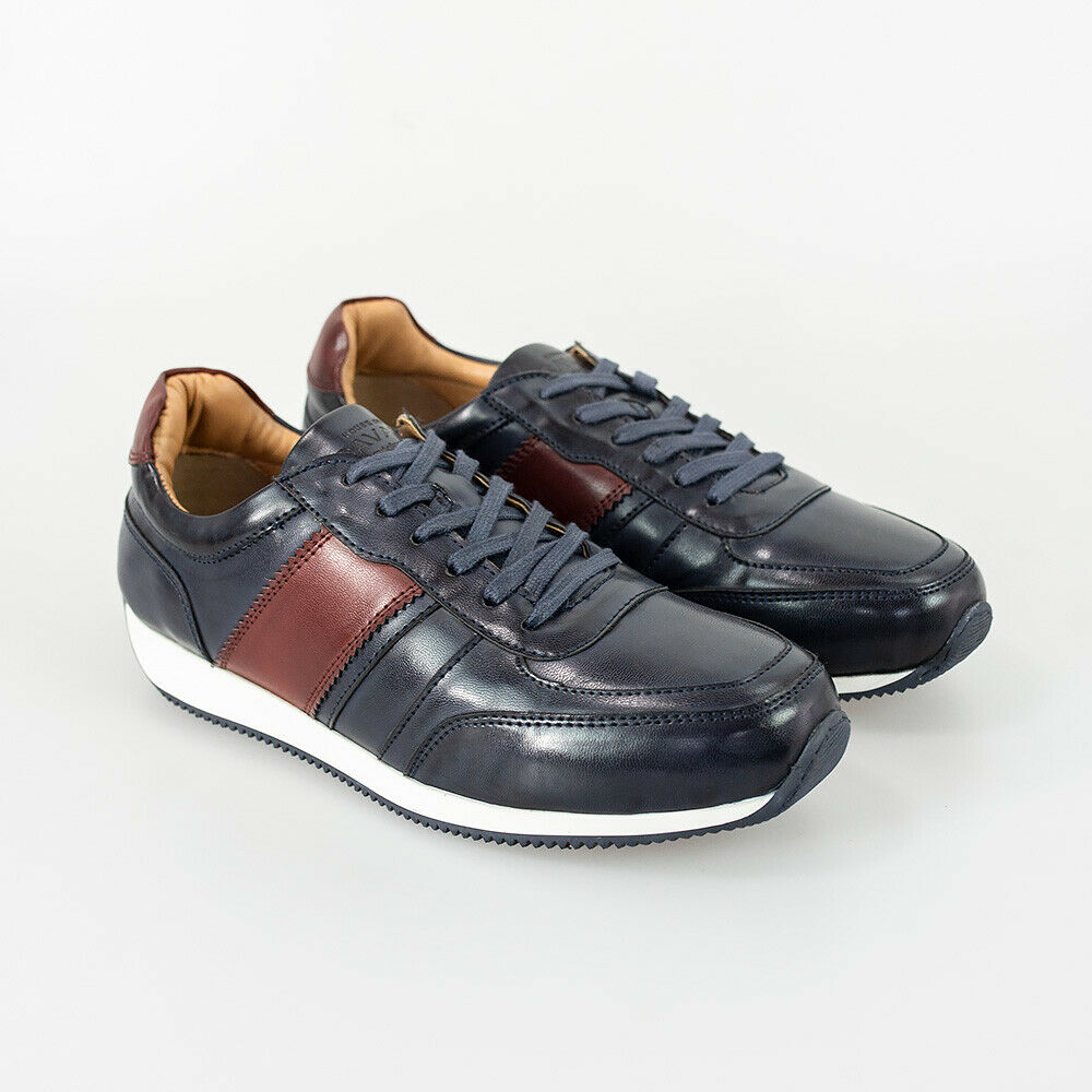 HOUSE OF CAVANI FRASER TRAINERS