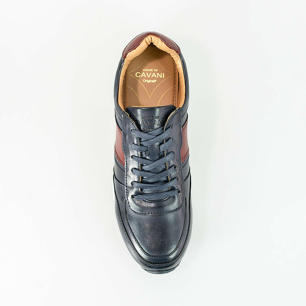 HOUSE OF CAVANI FRASER TRAINERS