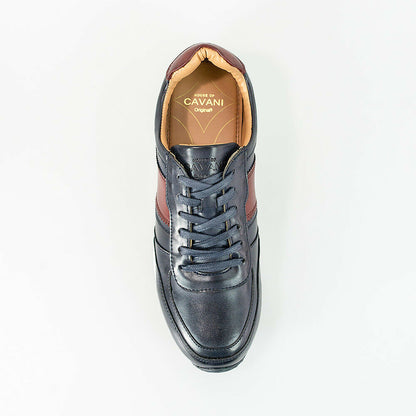 HOUSE OF CAVANI FRASER TRAINERS