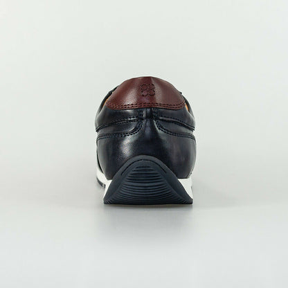 HOUSE OF CAVANI FRASER TRAINERS