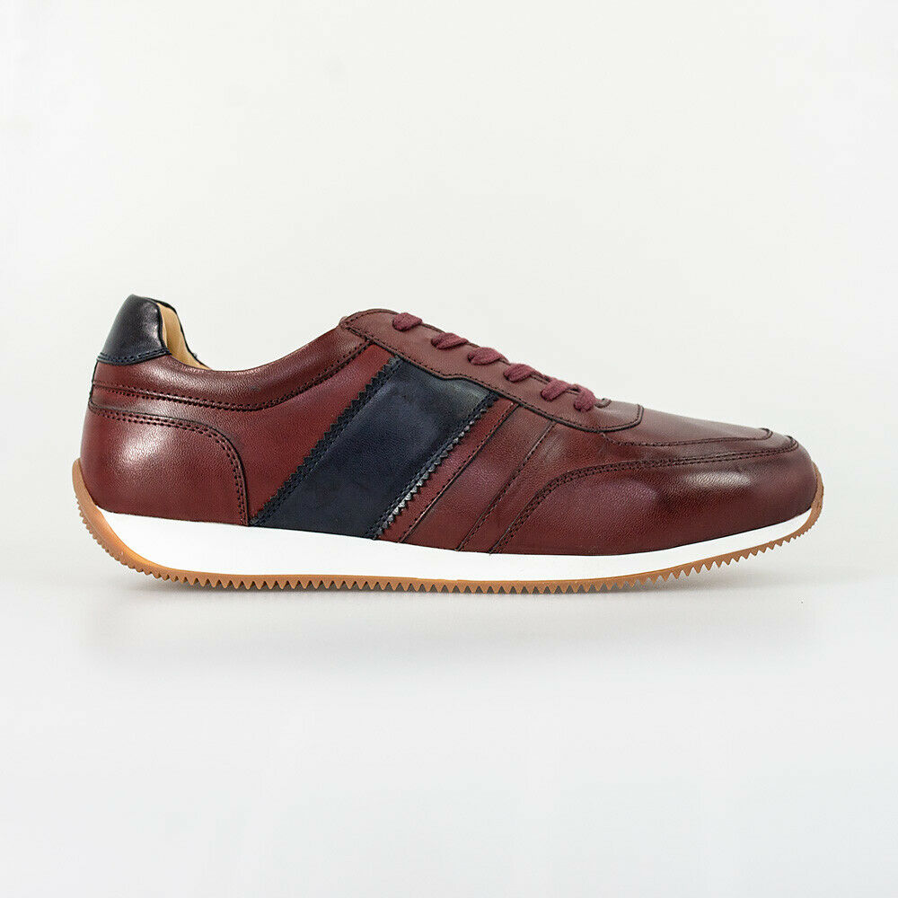 HOUSE OF CAVANI FRASER TRAINERS